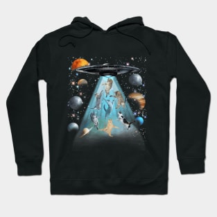 Crazy cats Flying in space Hoodie